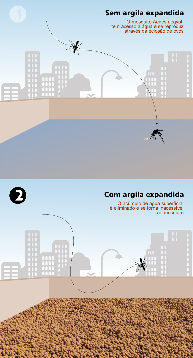 Combate ao Mosquito da Dengue