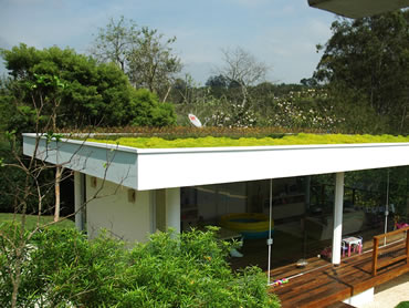 Telhado Verde (1)