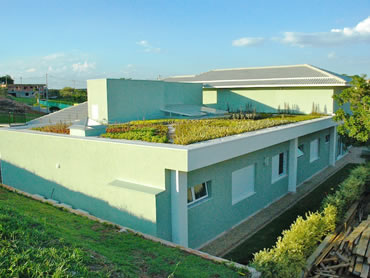 Telhado Verde (2)
