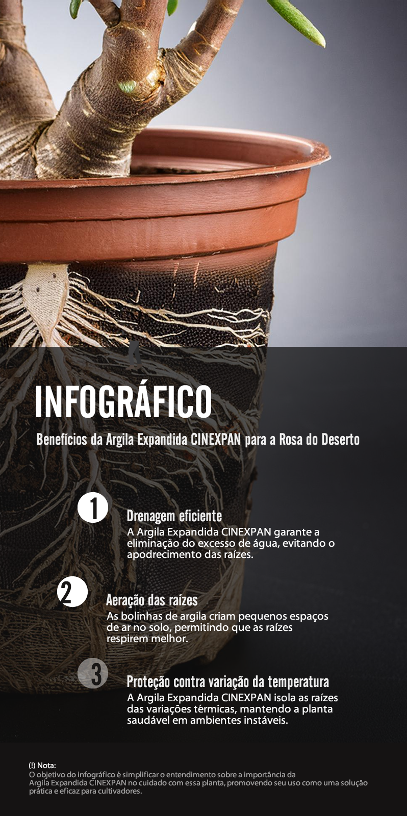 Infográfico: Benefícios da Argila Expandida CINEXPAN para a Rosa do Deserto