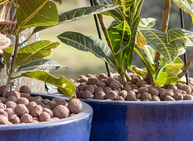 Uma imagem mostra dois vasos posicionados lado a lado e junto às plantas, ali dispostas, estão diversas esferas de Argila Expandida CINEXPAN como cobertura para os vasos.